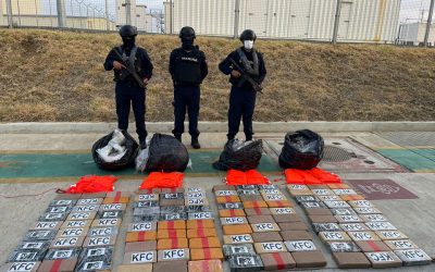 Guayas: Fuerzas Armadas decomisaron 120 kg. De sustancias sujetas a fiscalización.